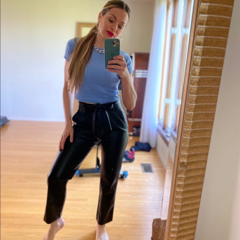 Aritzia Babaton Command Pant - Picture 1 of 2